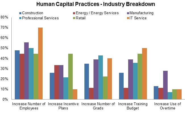 Human Capital Practices Industry Breakdown